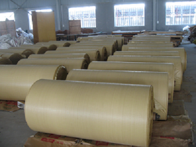 vai dia ky thuat det pp.png