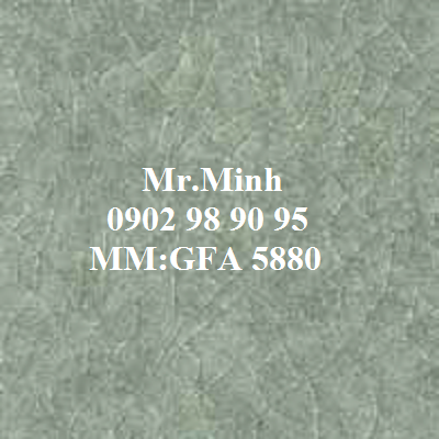GFA 5880.png