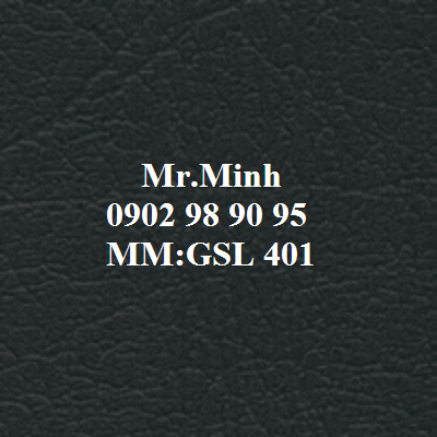 GSL 401.png