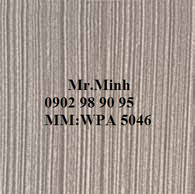 WPA 5046.png