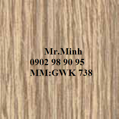 GWK 738.png