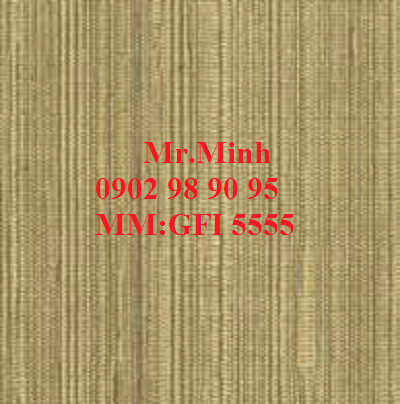 GFI 5555.png