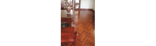 Sản phẩm FJL