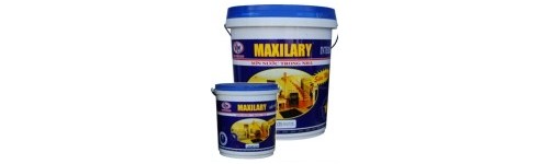 Sơn Maxilary Super