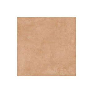 Gạch l&aacute;t CMC50x50