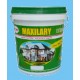 Sơn Ngoại Thất MAXILARY (Thường)-Thùng 18Lít