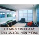 Phim dùng cho Cao ốc- Văn Phòng(LLumar- Hoa Kỳ)