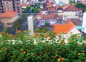 Image Image