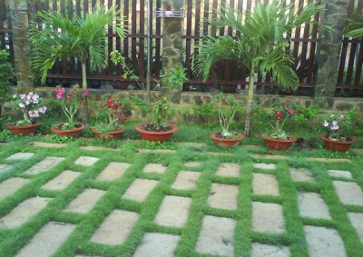 Image Image