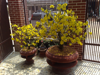 Image Image