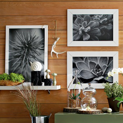 Image Image