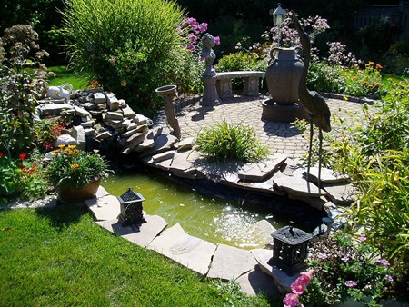 Image Image