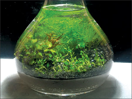 Image Image
