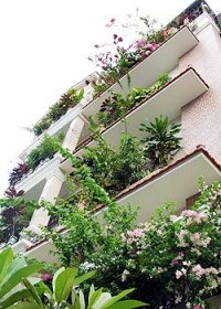 Image Image