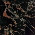 2011 New Marble Nero Athena Gold