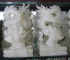 Rồng đứng