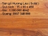Sàn gỗ Hương Lào ( giá tỵ myanma ) ( solid )
