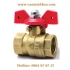 VAN BI ĐỒNG TAY BƯỚM MBV