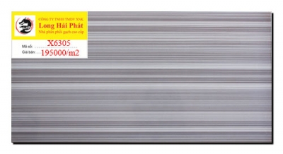 Gạch mikado 30x60 X6305