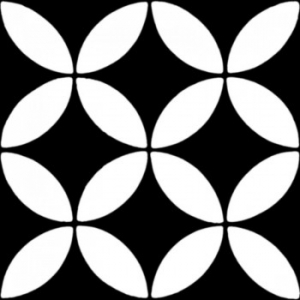 Gạch bông cổ điển CTS 6.6