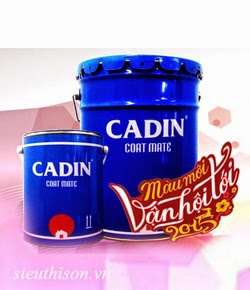 Đại lý bán sơn ngói Cadin tại thành phố Hồ Chí Minh