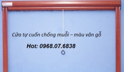 Cửa chống côn trùng các loại Quang Minh