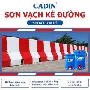 CHIẾT KHẤU CAO CHO CÔNG TRÌNH SƠN KẺ VẠCH ĐƯỜNG CADIN