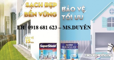 Đại Lý Cấp 1 Chuyên Phân Phối Sơn Nội, Ngoại Thất Sơn Toa Chính Hãng - Chiếc Khấu Cao