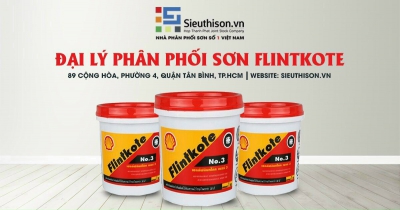 Chống Thấm FLINKOTE Ứng dụng sơn phủ mái bê tông